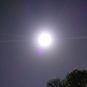 Meet your Posher, Paul